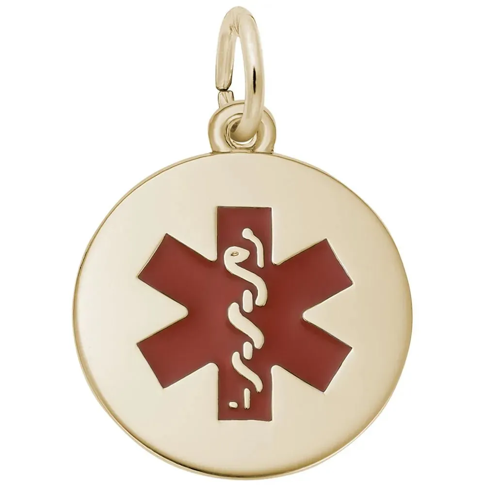 Rembrandt Charms - Medical Painted Symbol Charm - 5098-001
